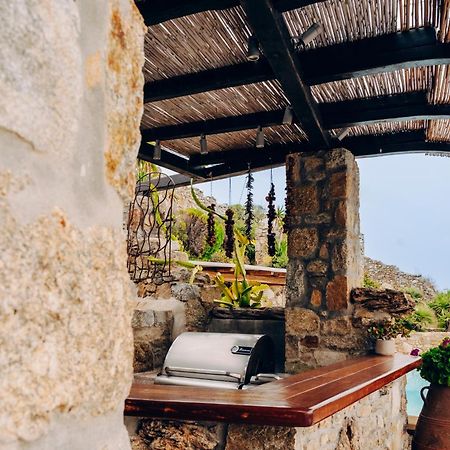 Villa Dimilia Mykonos Town المظهر الخارجي الصورة
